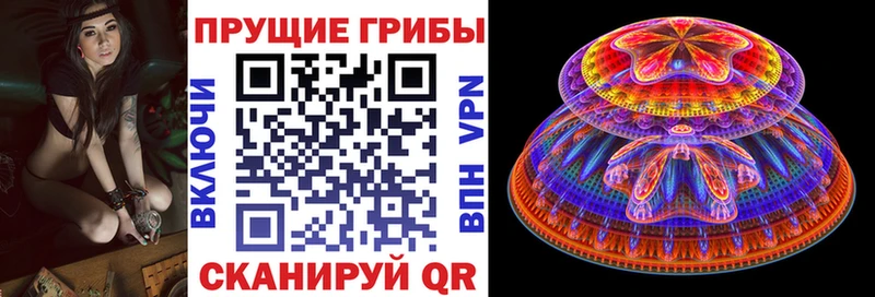 Галлюциногенные грибы мицелий  Купить  Тутаев 